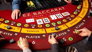 Join rk77 Cricket Live Centre and enjoy live betting in BDT